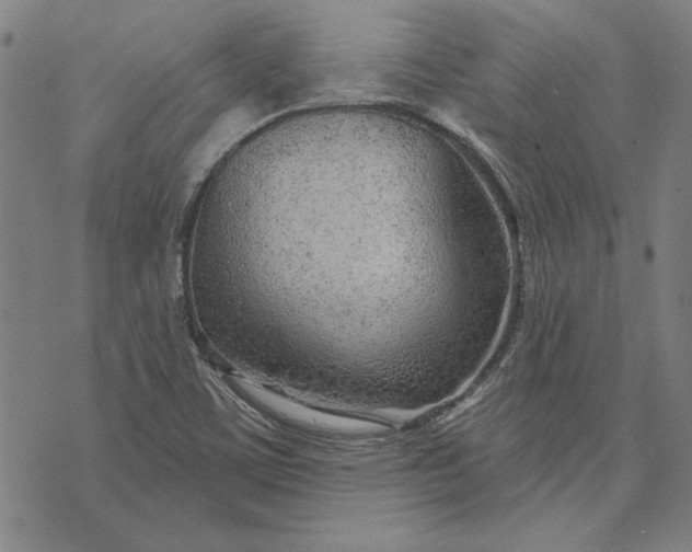 X0000073761459200608171344