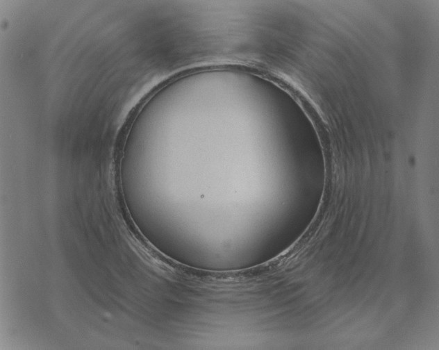 X0000073761460200608171344