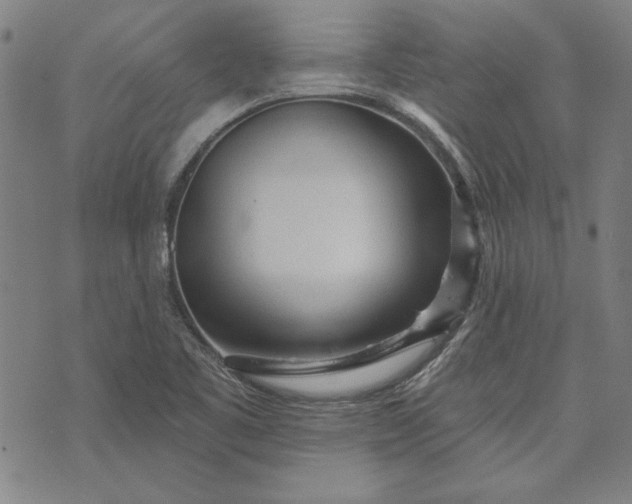 X0000073761461200608171344