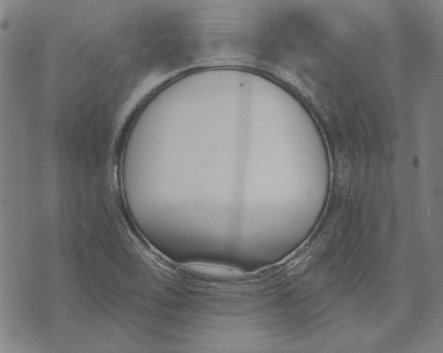 X0000073761462200608171344