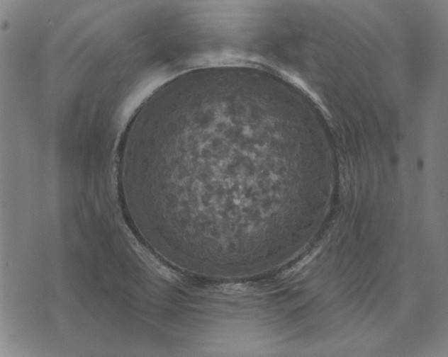 X0000073761463200608171344