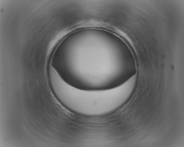 X0000073761464200608171344