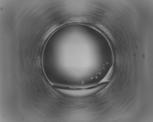 X0000073761465200608171344