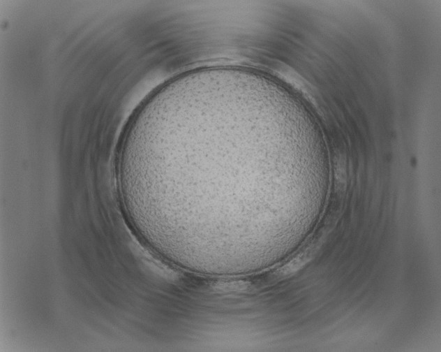 X0000073761466200608171344