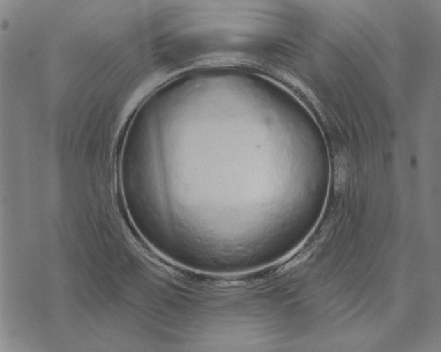 X0000073761467200608171344