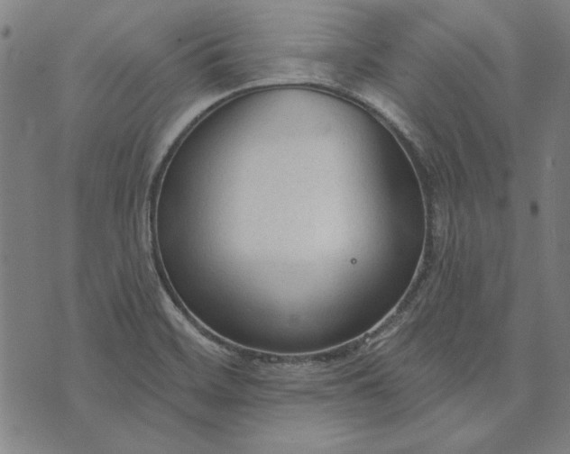 X0000073761468200608171344