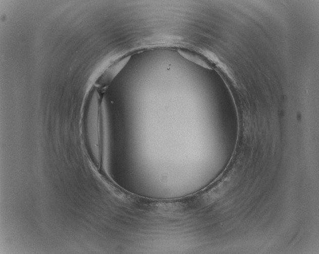 X0000073761469200608171344