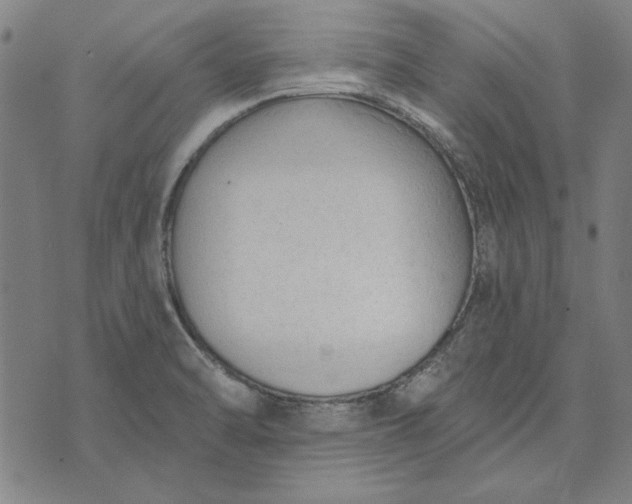 X0000073761470200608171344