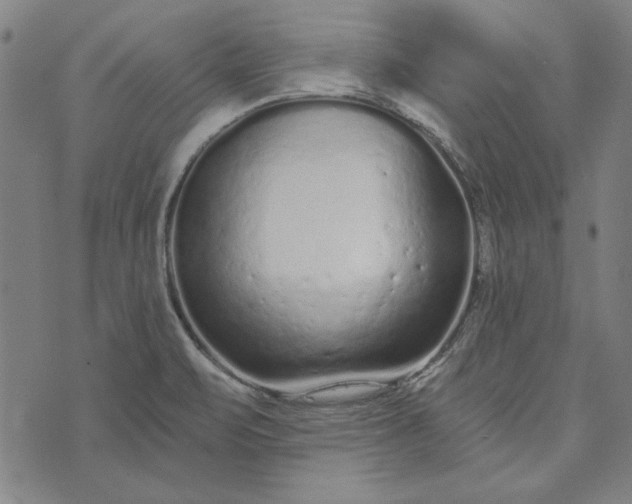 X0000073761471200608171344