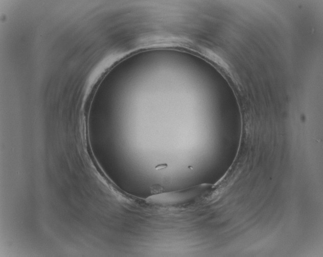 X0000073761472200608171344