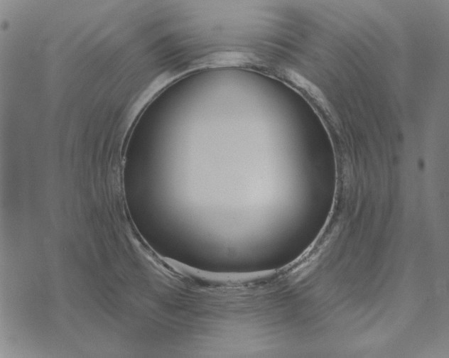 X0000073761473200608171344