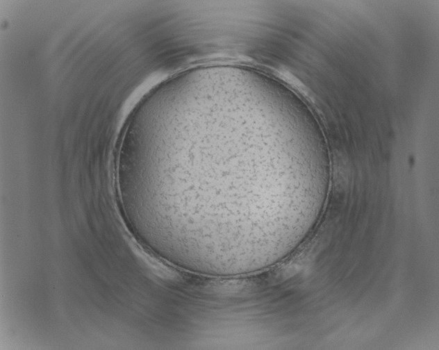 X0000073761474200608171344