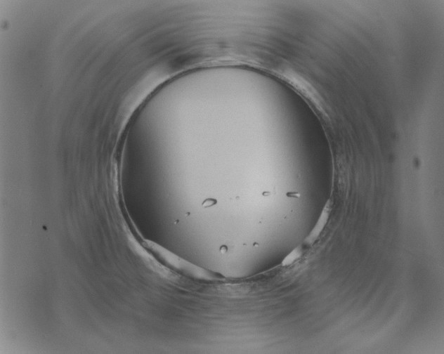 X0000073761476200608171344