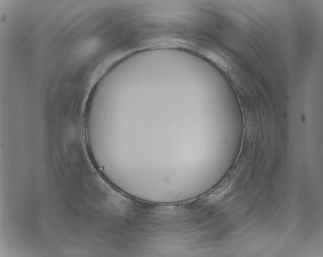 X0000073761478200608171344