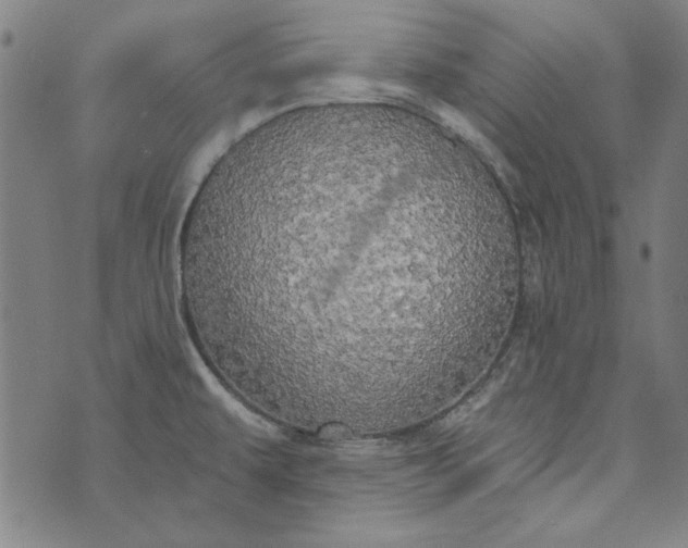 X0000073761479200608171344