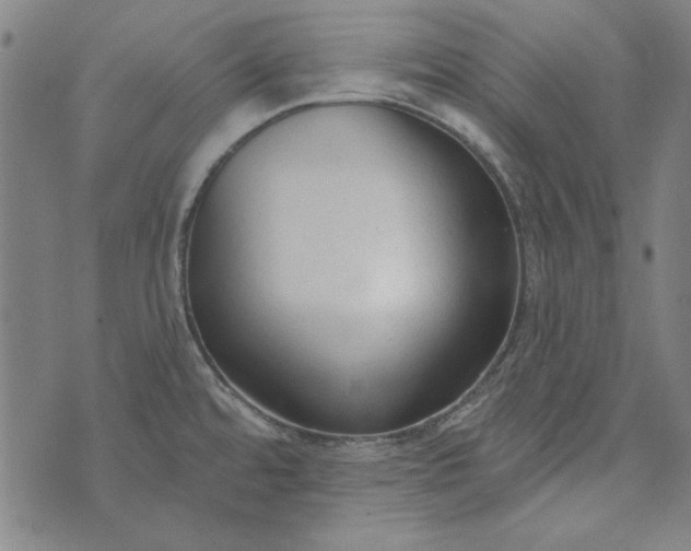 X0000073761480200608171344