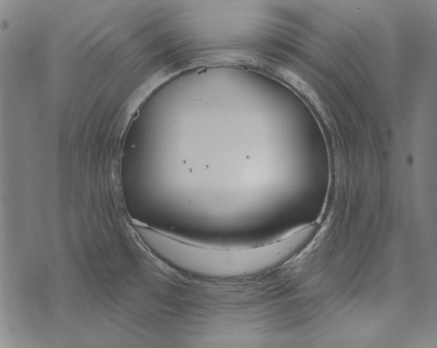 X0000073761481200608171344