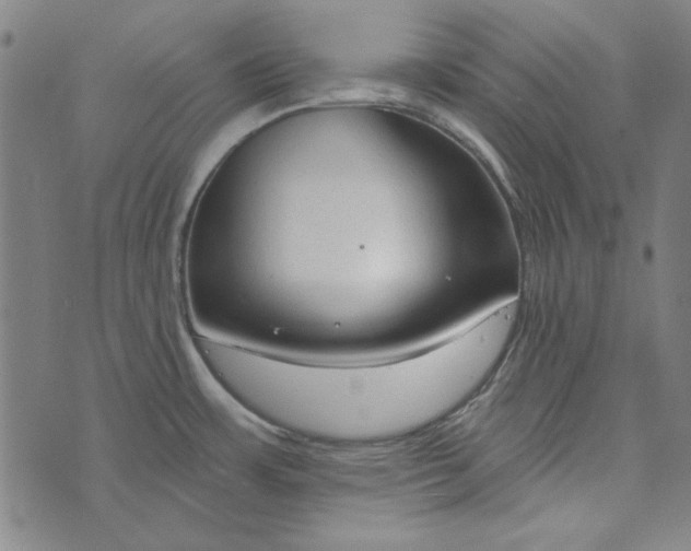 X0000073761483200608171344