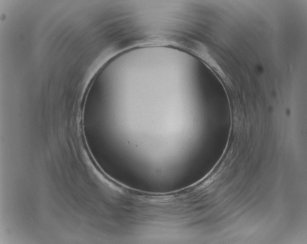 X0000073761484200608171344