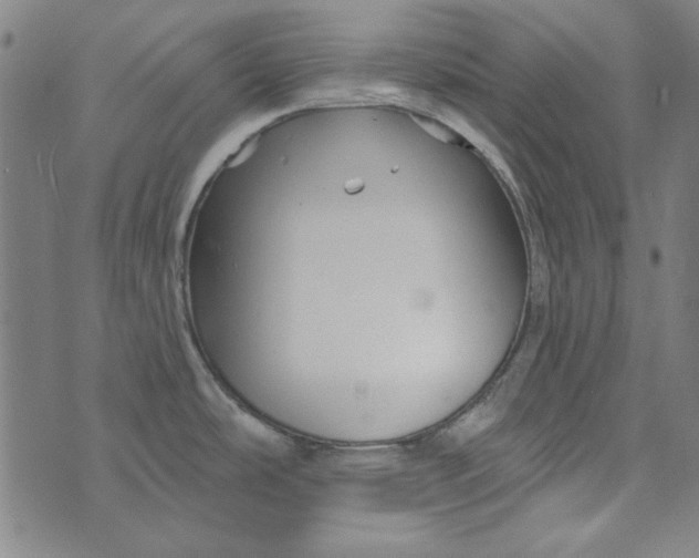 X0000073761486200608171344