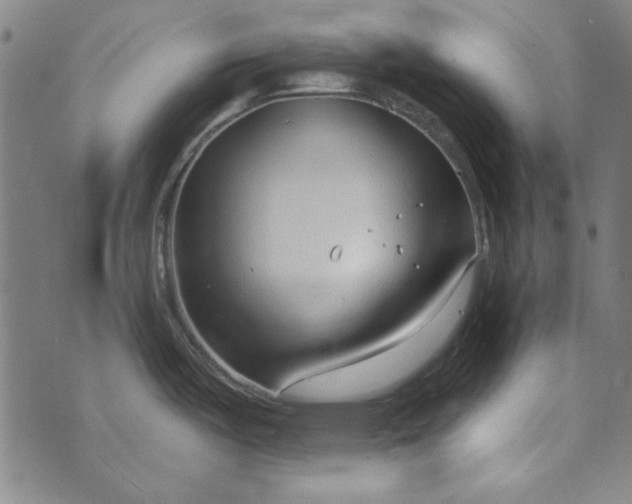 X0000073761487200608171344