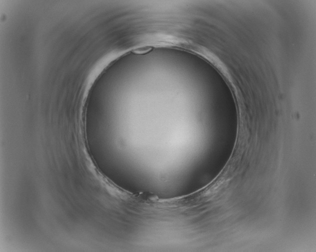 X0000073761488200608171344