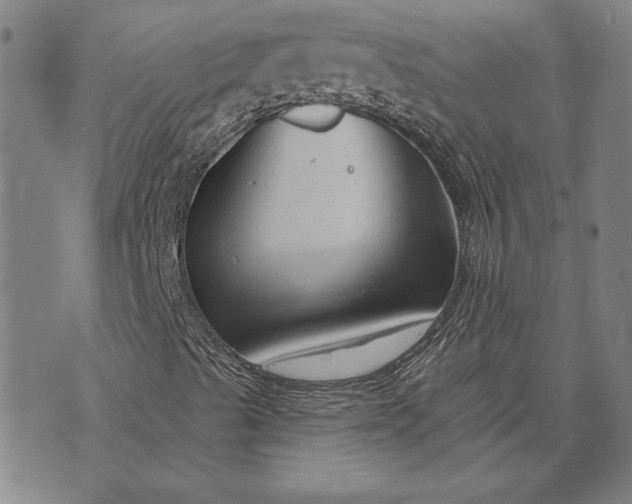 X0000073761489200608171343