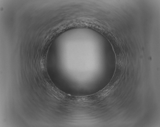 X0000073761490200608171343