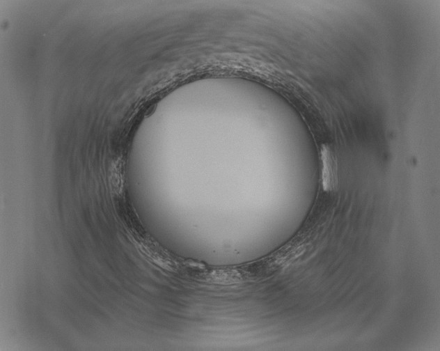 X0000073761491200608171343