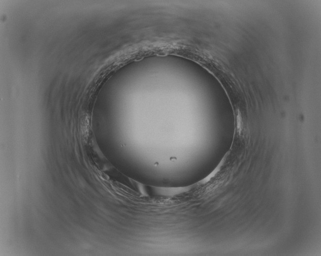 X0000073761492200608171343