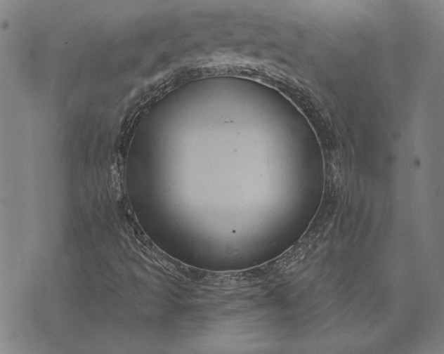 X0000073761493200608171343