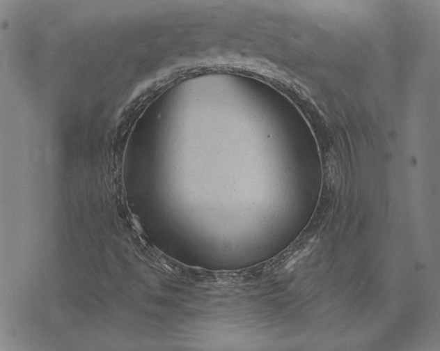 X0000073761494200608171343