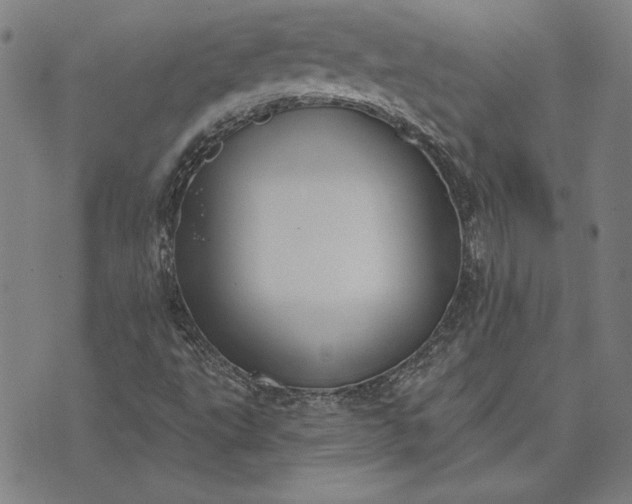 X0000073761495200608171343