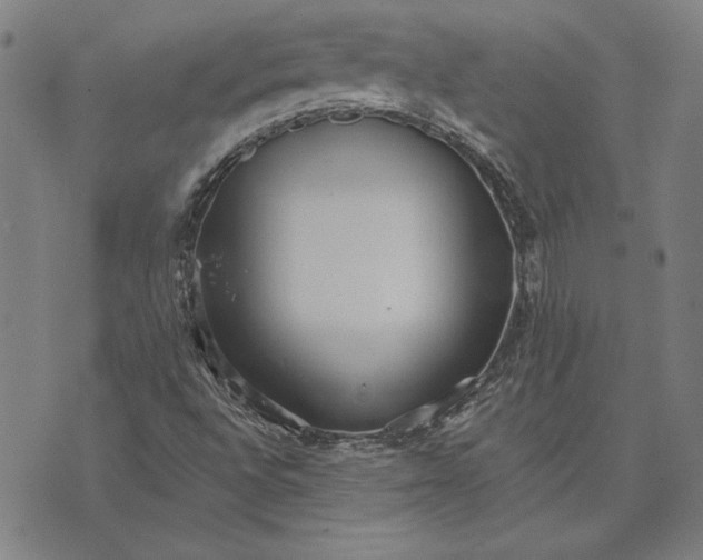 X0000073761496200608171343