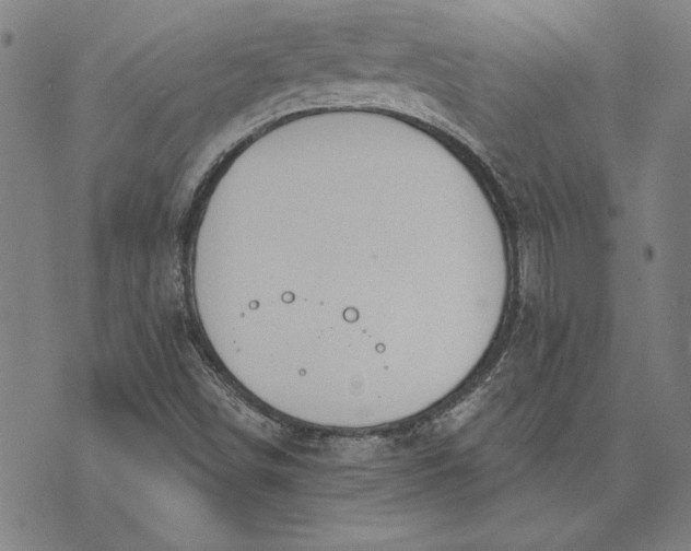 X0000073761498200608171343