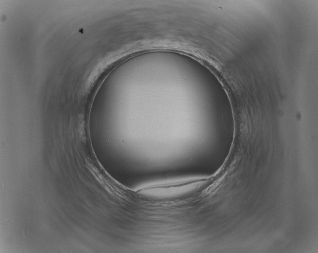 X0000073761499200608171343