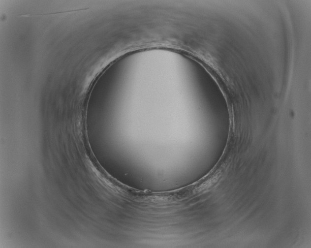 X0000073761500200608171343