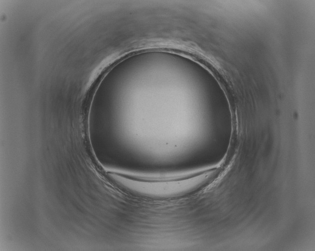 X0000073761501200608171343