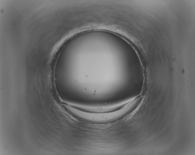 X0000073761502200608171343