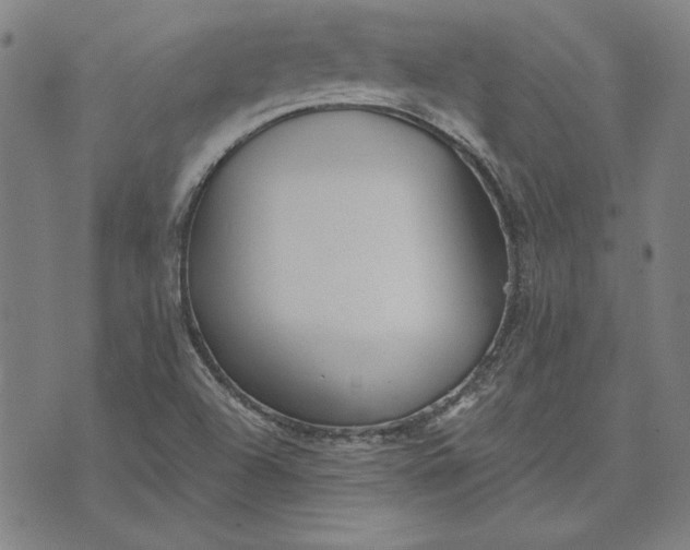 X0000073761504200608171343