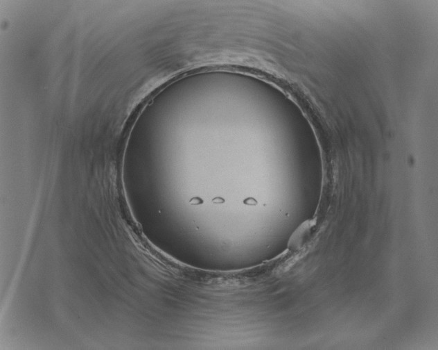 X0000073761505200608171343