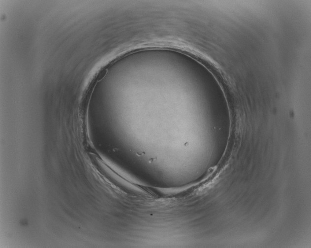 X0000073761506200608171343