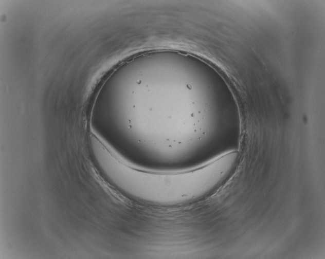 X0000073761507200608171343