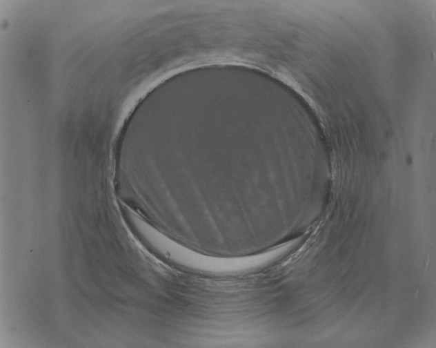 X0000073761508200608171343