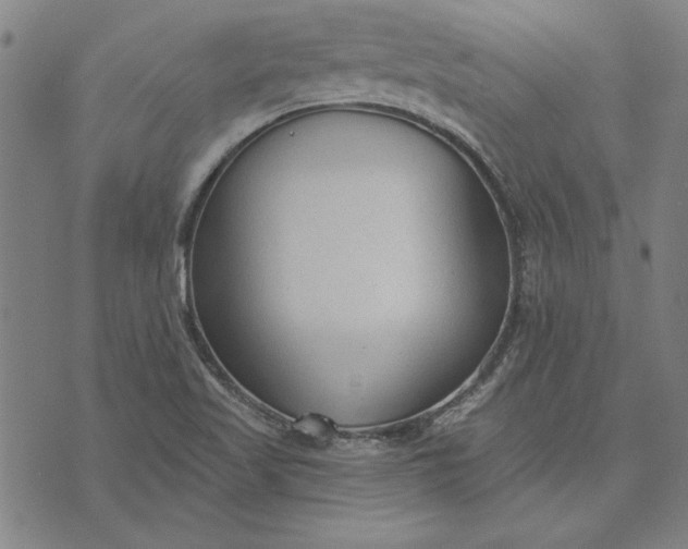 X0000073761509200608171343