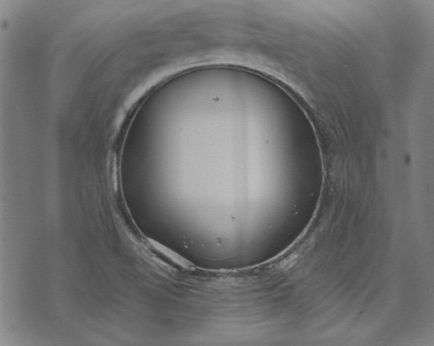 X0000073761510200608171343