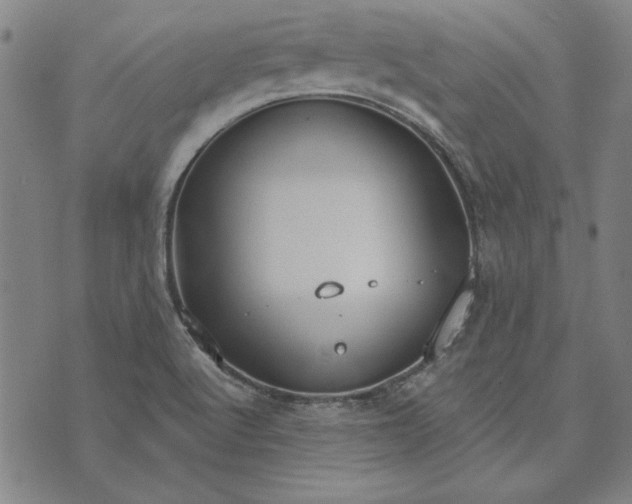 X0000073761512200608171343