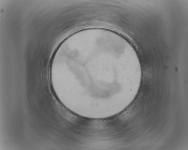 X0000073761514200608171343