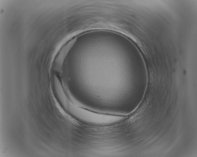 X0000073761515200608171343