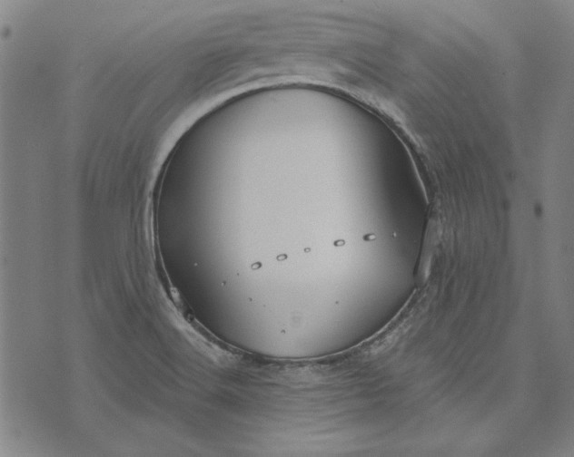 X0000073761516200608171343